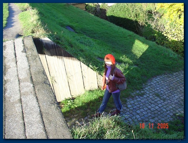 Bourtange18.jpg