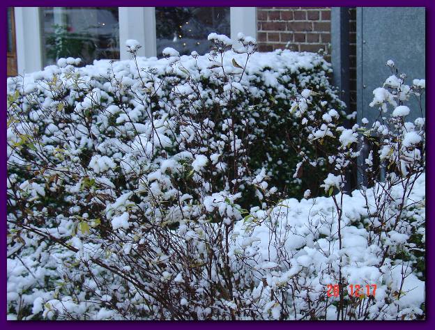 DSC00759.JPG