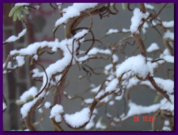DSC00777.JPG