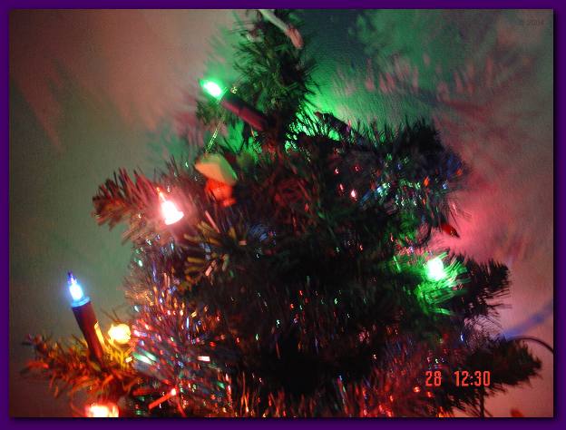 DSC00783.JPG