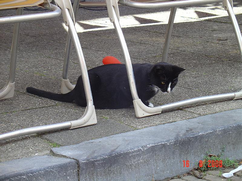 DSC04232.JPG
