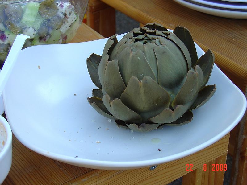 DSC05162.JPG